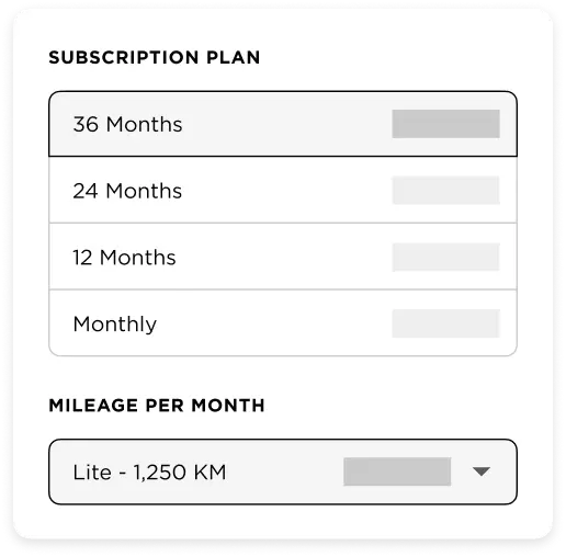 Customise Your Plan